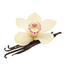 vanilla