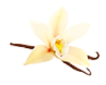 vanilla
