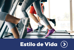 Estilo